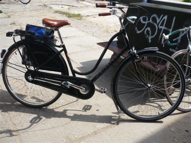 P1040550.JPG