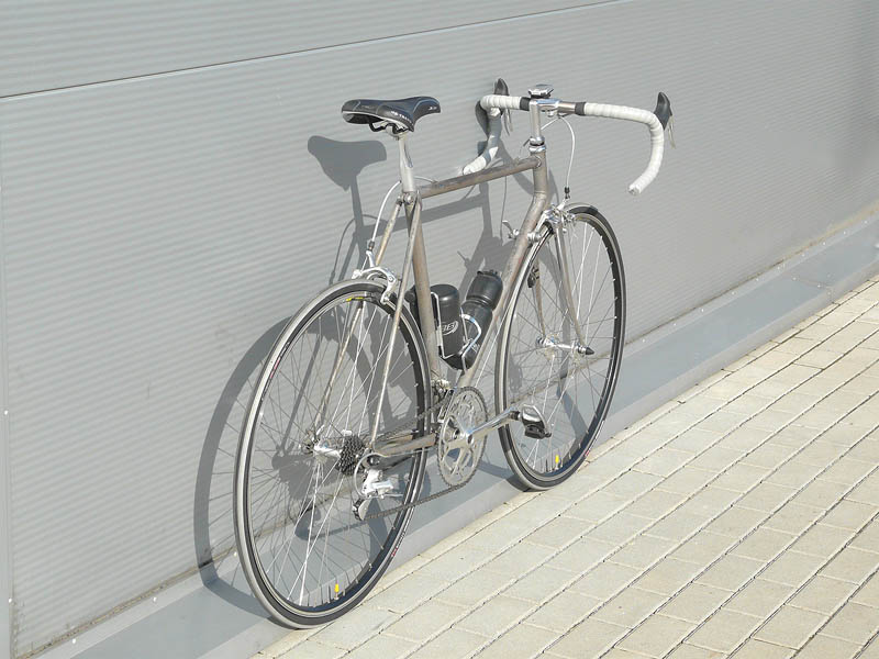 GazelleRAW03.jpg