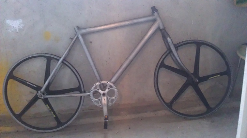 IMAG0162.jpg