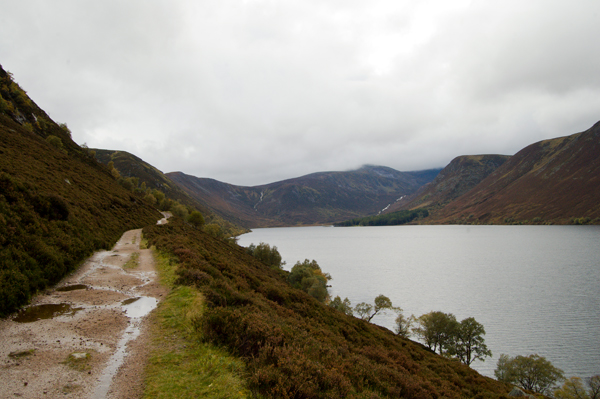 DSC_0226.jpg
