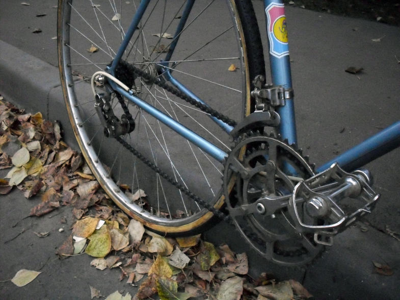 pedalai.jpg