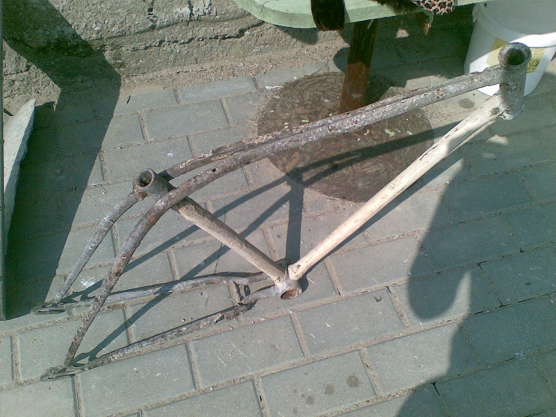 dv2.jpg