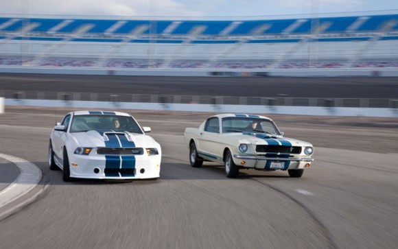 felt shelby5.jpg