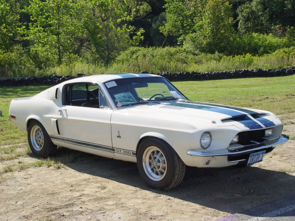 felt shelby3.jpg