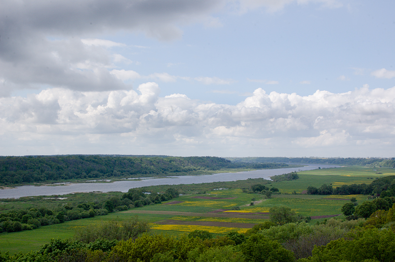 DSC_0744.jpg
