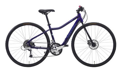 Kona Dr Lisa Womens Bike 2010.JPG