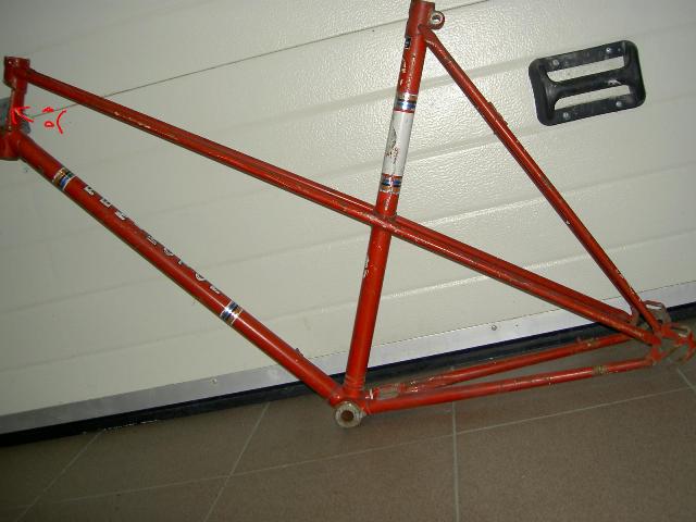 dvirais Remington 002.jpg